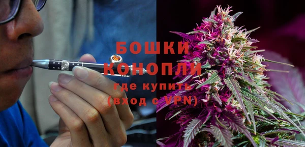 молекула духа Майский