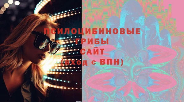 шишки Алзамай