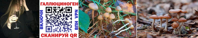 Псилоцибиновые грибы Magic Shrooms  Железногорск 